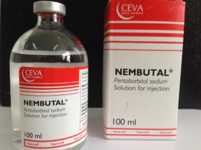 BUY NEMBUTAL online liquid powder delivery gurante